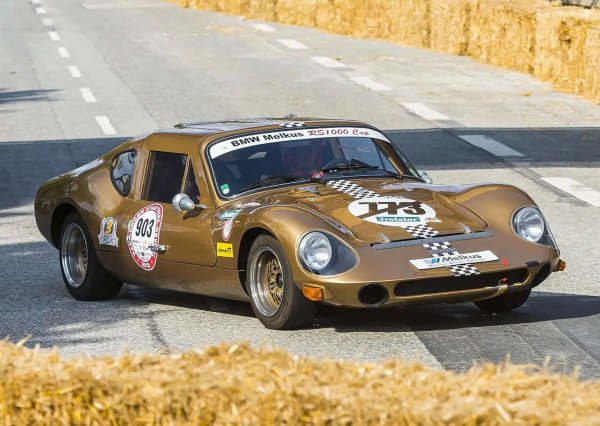 Хората могат да се заблудят, че това е едно от творенията на Енцо Ферари. Не, този автомобил е построен в страна, която вече не съществува &ndash; Германската демократична република (ГДР). С външния вид на кола от Льо Ман, вратите тип "крила на чайка" и каросерията от фибростъкло, RS1000 печели прозвището "Социалистическо Ферари". Бихте очаквали ръмжащ V10 или V12 двигател, но не. Отзад има 1,0-литров двутактов мотор с 68 к.с. Нищо чудно, за 10 години са произведени  само 100 бройки. 